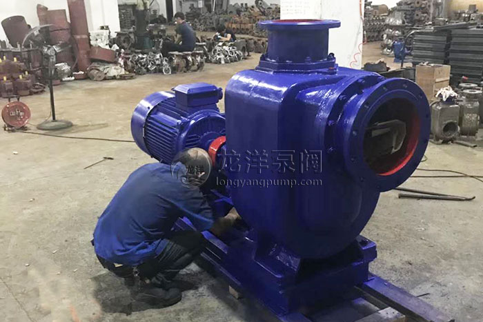 大口徑大流量高揚(yáng)程自吸泵